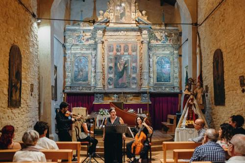 concerto-formichella-di-pasquale-penna-sant-andrea-00001